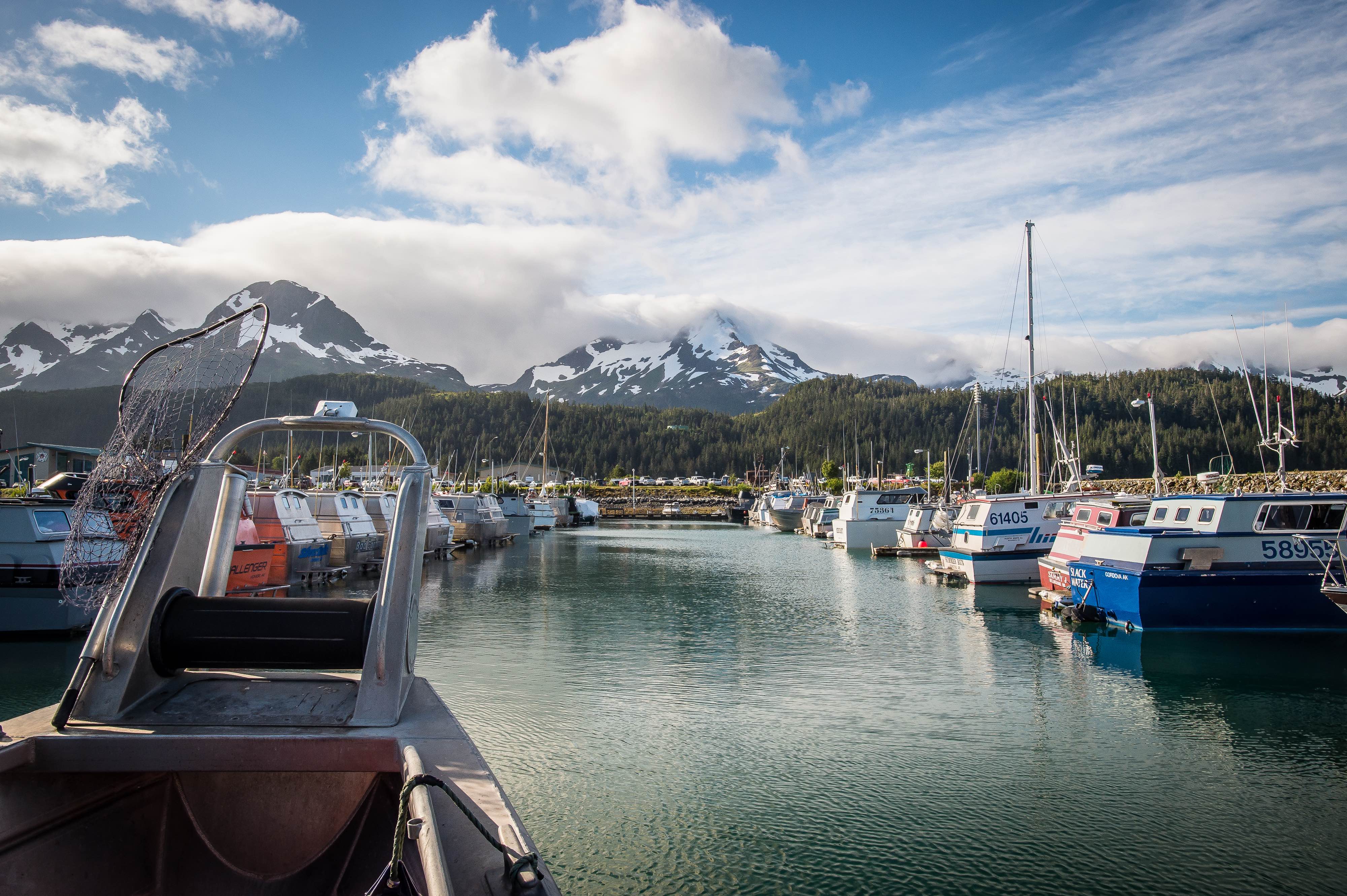 A bow picker heads to its stall in the south boat harbor in Cordova, Alaska.
