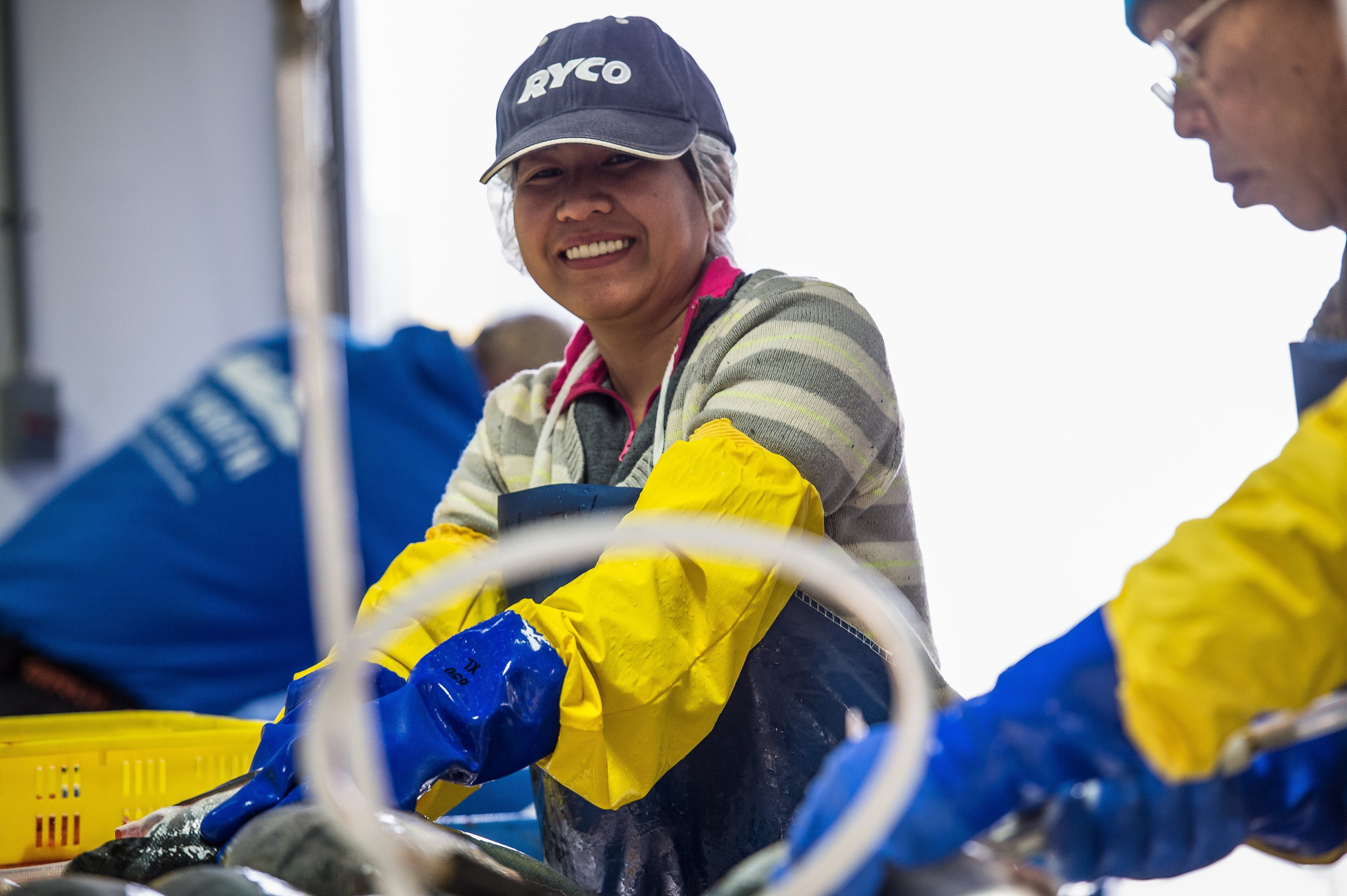 60 North Seafoods employees prepare freshly caught salmon for market.