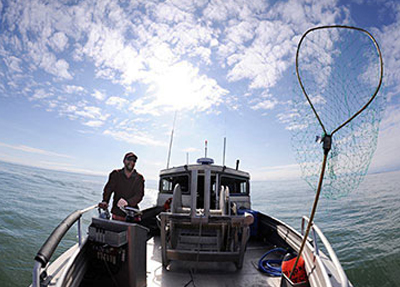 Fisherman John Bocci from Wingham