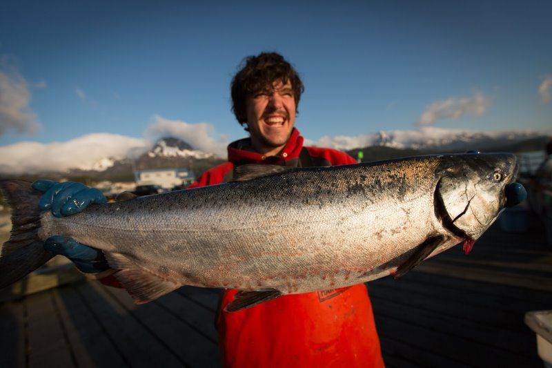 General Photo Gallery Copper River Salmon